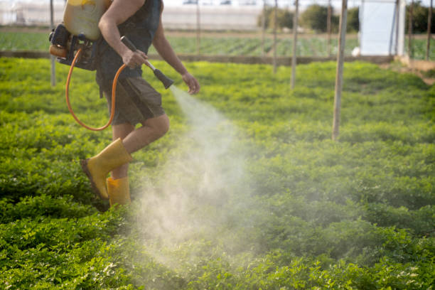 Best Local Pest Control Services  in Northwest Harborcreek, PA