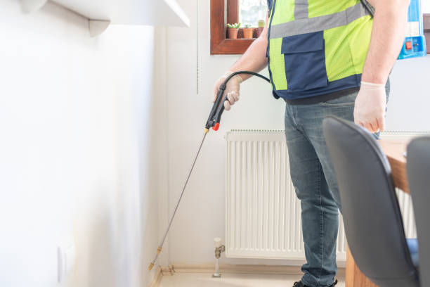 Best Wasp Removal Services  in Northwest Harborcreek, PA