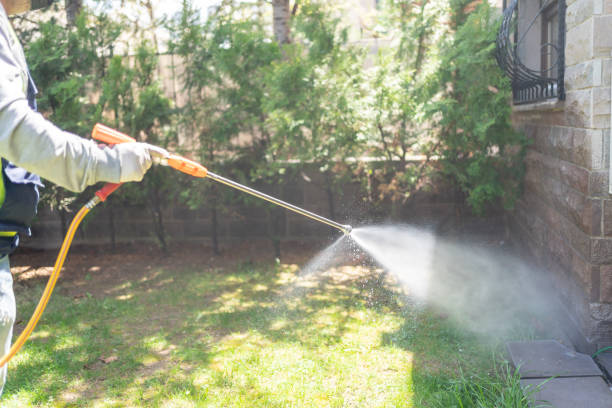 Best Residential Pest Control  in Northwest Harborcreek, PA