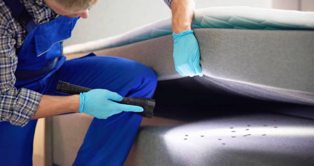 Best Pest Control Near Me  in Northwest Harborcreek, PA